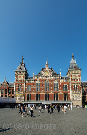 00A230619D921CAROEX.JPG