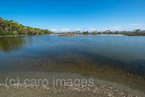 Albanien, Divjaka - Blick von Insel in der Lagune (Salz-und Suesswasser einer Flussmuendung) im Nationalpark Divjaka-Karavasta an der Adriakueste
