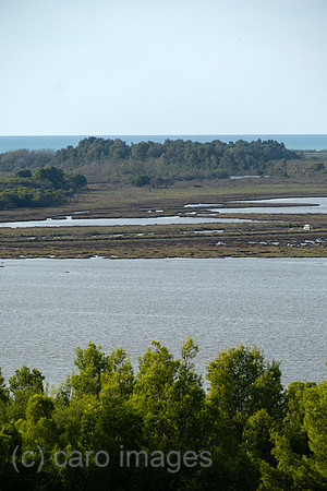 Albanien, Divjaka - Blick auf die Lagune (Salz-und Suesswasser einer Flussmuendung) im Nationalpark Divjaka-Karavasta an der Adriakueste, vorne Pinienwald