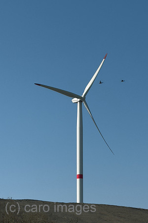 Deutschland, Bremen - Windrad hinter einer Muellhalde