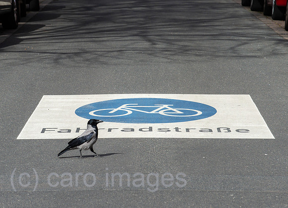 Berlin, Deutschland - Symbol und Schriftzug einer Fahrradstrasse