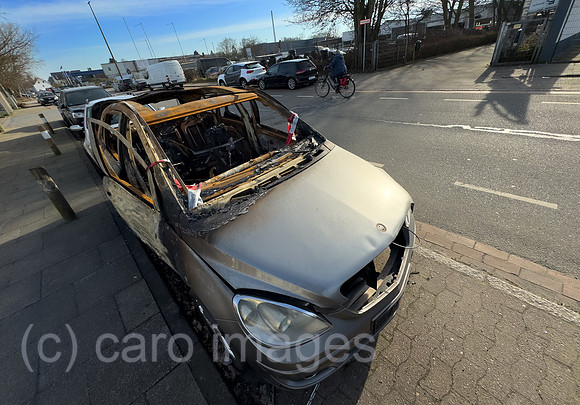 00A250305D024CAROEX.JPG