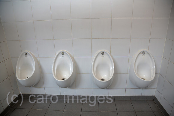00A190721D009CAROEX.JPG