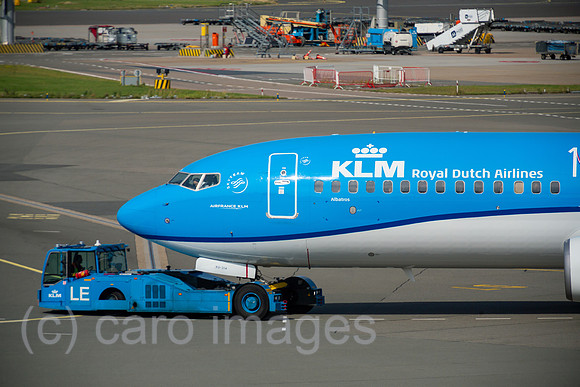 00A190721D024CAROEX.JPG
