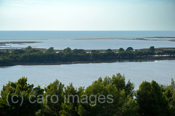 Albanien, Divjaka - Blick auf die Lagune (Salz-und Suesswasser einer Flussmuendung) im Nationalpark Divjaka-Karavasta an der Adriakueste, vorne Pinienwald