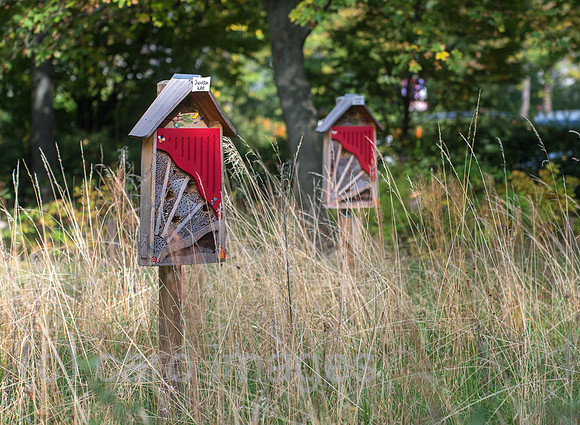Berlin, Deutschland - Insektenhotel auf der Wiese einer Wohnsiedlung in Berlin-Mitte
