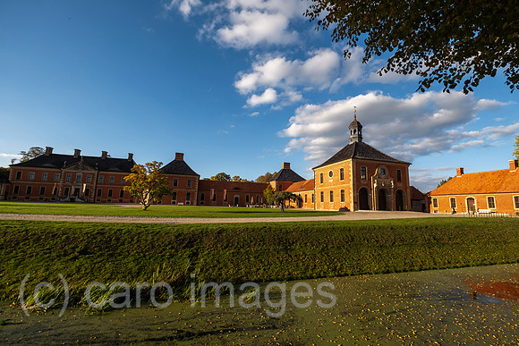 00A221012D226CAROEX.JPG