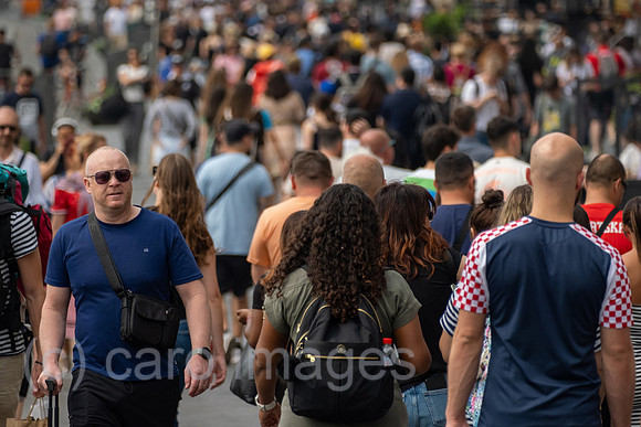 00A230618D067CAROEX.JPG