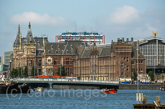 00A230619D787CAROEX.JPG