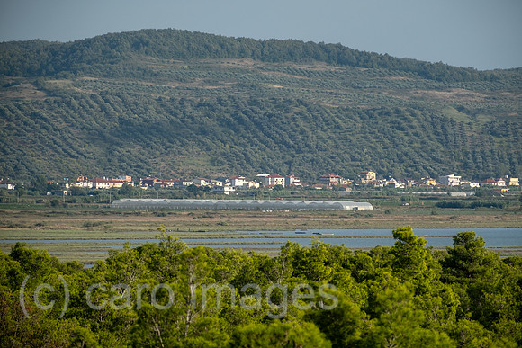 Albanien, Divjaka - Blick auf Pinienwald im Nationalpark Divjaka-Karavasta, dahinter Gewaechshaeuser, Ortschaft und eine Bergkette