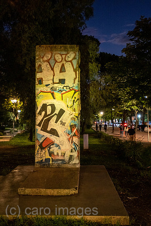 00A240920D0538CAROEX.JPG