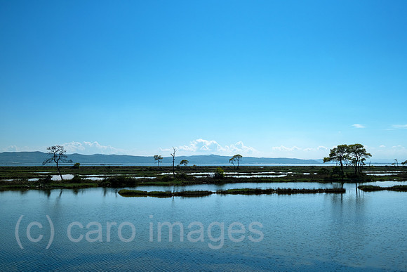 Albanien, Divjaka - Die Lagune (Salz-und Suesswasser einer Flussmuendung) im Nationalpark Divjaka-Karavasta an der Adriakueste