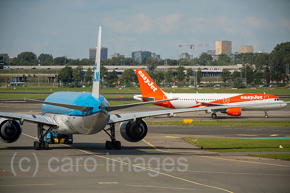 00A190721D041CAROEX.JPG