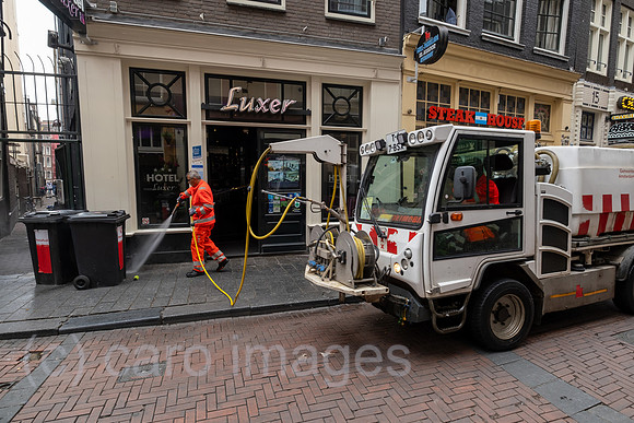 00A230619D646CAROEX.JPG