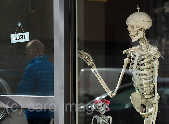 Berlin, Deutschland - Menschliches Gerippe aus Kunststoff in einem Schaufenster