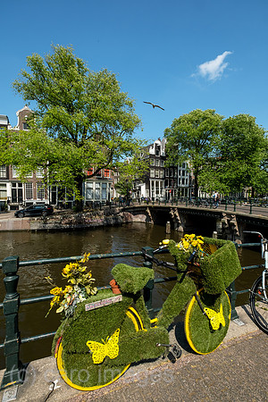 Niederlande, Amsterdam - Fahrraeder im Grachtenguertel, vorne ein solches mit kuenstlichem Rasen und Plastikblumen geschmueckte
