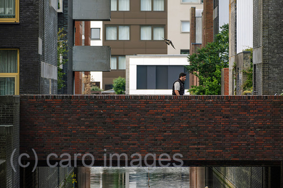 Niederlande, Amsterdam - Fussgangerbruecke in IJburg, im Zuge des Wohnungsbauprogramm VINEX neu entstandener Stadtteil im Osten der Stadt dem Meer abgetrotzt