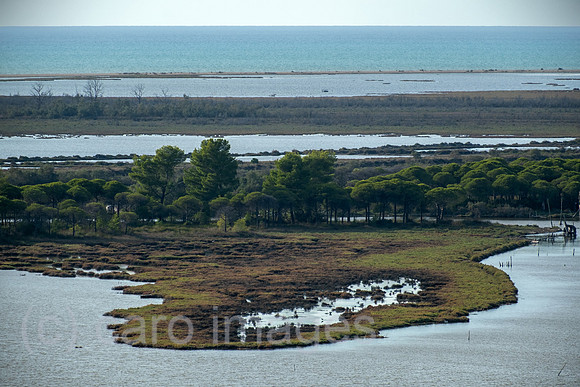 Albanien, Divjaka - Blick auf die Lagune (Salz-und Suesswasser einer Flussmuendung) im Nationalpark Divjaka-Karavasta an der Adriakueste, vorne Pinienwald