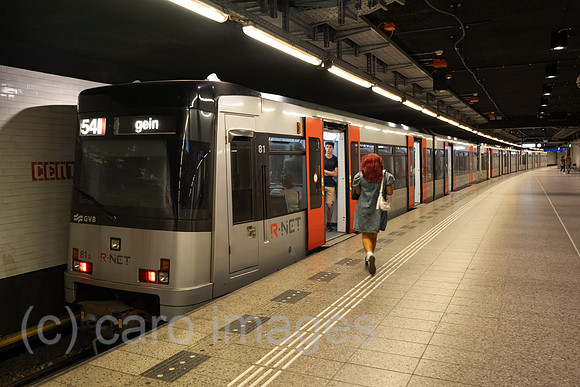 00A230618D083CAROEX.JPG
