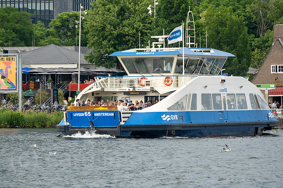 00A230618D193CAROEX.JPG