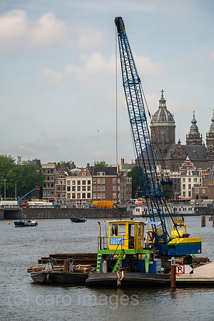 00A230619D732CAROEX.JPG