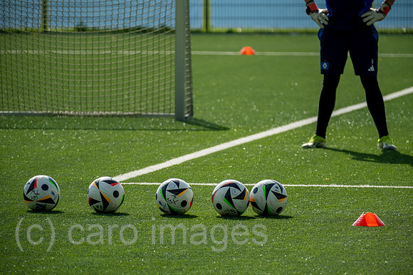 Deutschland, Hamburg - junger Fussball-Profi des HSV beim Torwarttraining