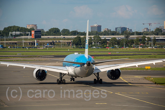 00A190721D051CAROEX.JPG