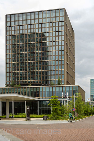 00A230618D150CAROEX.JPG