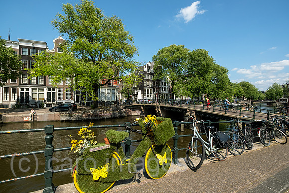 Niederlande, Amsterdam - Fahrraeder im Grachtenguertel, vorne ein solches mit kuenstlichem Rasen und Plastikblumen geschmueckte