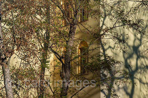 Berlin, Deutschland - Hauswand mit Baumen und Schatten