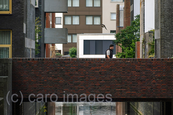 Netherlands, Amsterdam - pedestrian bridge in IJburg, a district newly created in the east of the city, reclaimed from the sea
