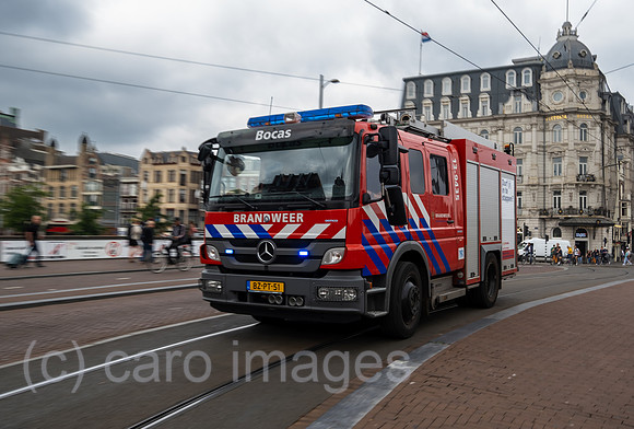 00A230619D659CAROEX.JPG