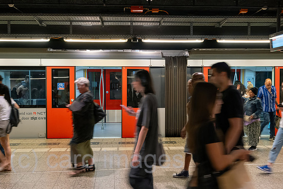 00A230618D087CAROEX.JPG