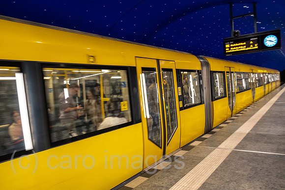 00A230519D053CAROEX.JPG