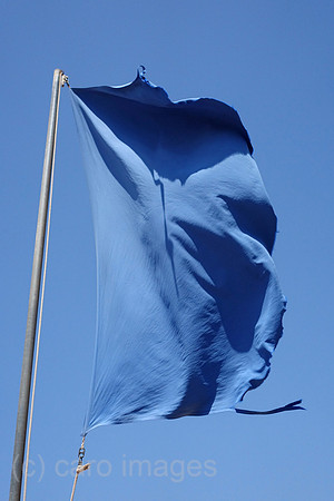 00S190723D043CAROEX.JPG