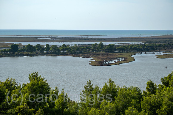 Albanien, Divjaka - Blick auf die Lagune (Salz-und Suesswasser einer Flussmuendung) im Nationalpark Divjaka-Karavasta an der Adriakueste, vorne Pinienwald